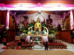 11034231_361663274020175_8076264930642085704_n